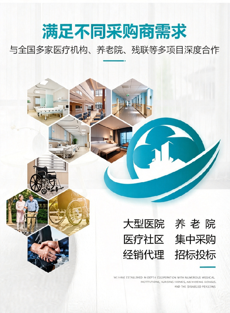 政府部门可以和衡星医养合作哪些适老化项目？